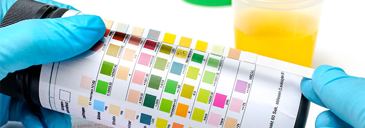 Chiropractic Breese IL Drug And Alcohol Testing Chiropractic Breese IL Drug And Alcohol Testing